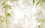 简约翠竹电视背景