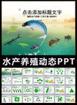 水产养殖海鲜ppt模板