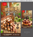 板栗海报