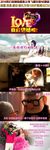2016婚礼开场感恩父母AE模