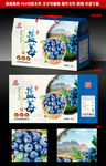 蓝莓包装礼盒源文件展开图