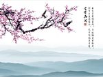 花开富贵梅花