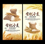 小麦