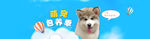 萌宠banner