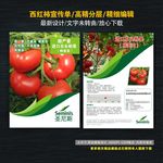 西红柿宣传单