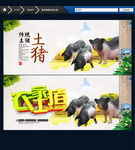 土猪肉 农家土猪