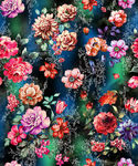 花儿朵朵