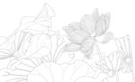 荷花线描