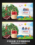 樱桃