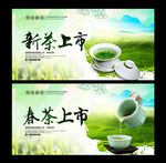 新茶上市