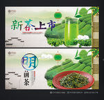 新茶上市