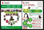 净颜梅宣传页