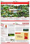 企业报纸 公司报纸 农业报纸