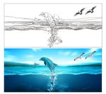 海豚图