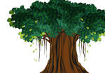 高清手绘大树插画素材