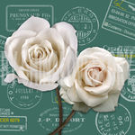 欧美花卉装饰画 玫瑰花