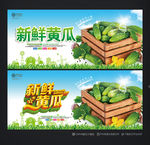 黄瓜