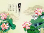 爱莲说荷花