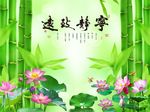 宁静致远竹子荷花