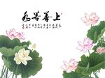 上善若水荷花