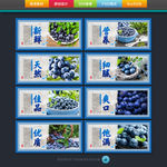 蓝莓挂画