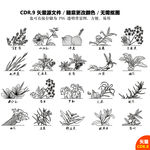 手绘植物蔬菜矢量图