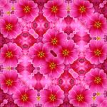 红花底纹