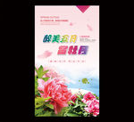 牡丹海报