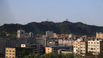 城市 塔 鸽子 走动的影子