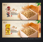 黄豆