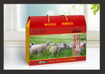 羊肉包装 礼品包装（展开图）