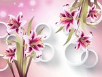 3D百合花