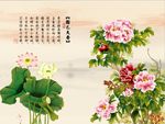 牡丹荷花图