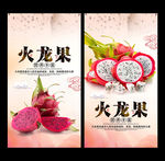 火龙果