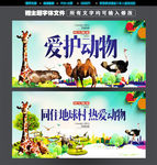 爱护保护动物