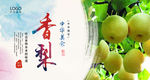 香梨