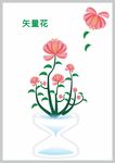 矢量花