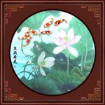 荷花鱼