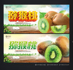 猕猴桃