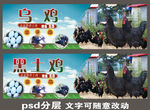 乌鸡