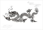 龙 矢量