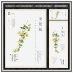 金银花