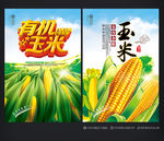 玉米