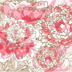 花纹花边
