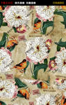 古典花鸟图案