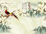 室雅兰香玉兰花