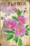 花卉装饰画