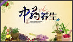 中药养生