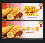 玉米