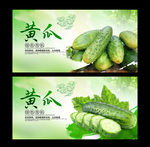 黄瓜